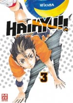 Haikyu!!. Bd.3