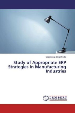Study of Appropriate ERP Strategies in Manufacturing Industries