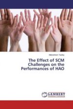 The Effect of SCM Challenges on the Performances of HAO