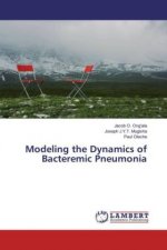 Modeling the Dynamics of Bacteremic Pneumonia