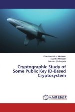 Cryptographic Study of Some Public Key ID-Based Cryptosystem