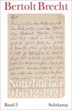 Notizbücher Band 3: 1921