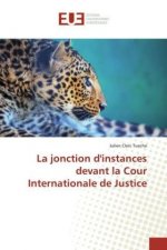 La jonction d'instances devant la Cour Internationale de Justice