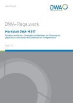 Merkblatt DWA-M 517 Gewässermonitoring - Strategien und Methoden zur Erfassung der physikalisch-chemischen Beschaffenheit von Fließgewässern