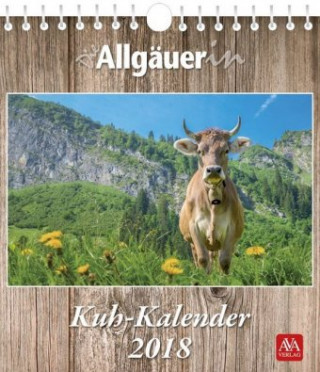 Kühe, Postkartenkalender 2018