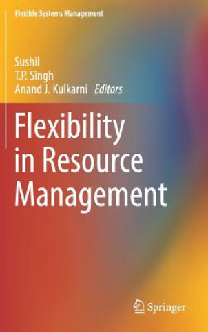 Flexibility in Resource Management
