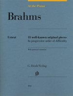At the Piano - Brahms