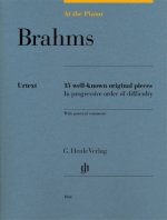 At the Piano - Brahms