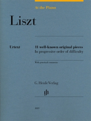 At the Piano - Liszt