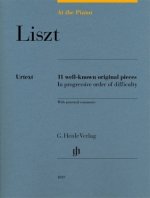 At the Piano - Liszt