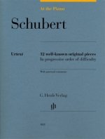 At the Piano - Schubert