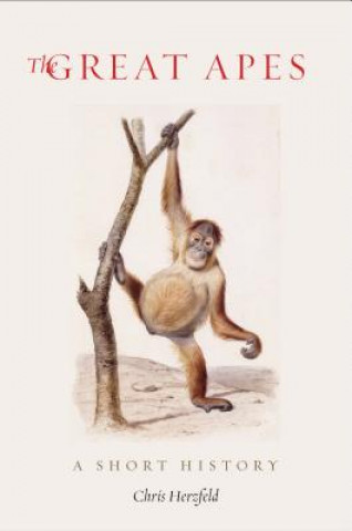 Great Apes