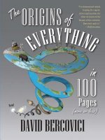 Origins of Everything in 100 Pages (More or Less)
