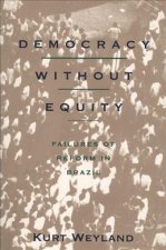 Democracy Without Equity