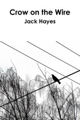Crow on the Wire