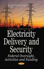 Electricity Delivery & Security