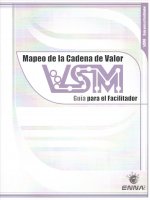 VSM Facilitator Guide (Spanish)