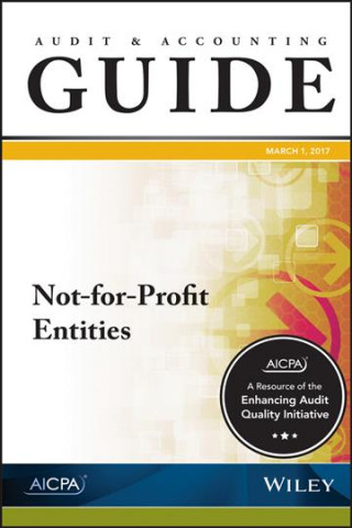 Auditing and Accounting Guide