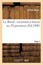 Le Bresil: Excursion A Travers Ses 20 Provinces. Tome 1
