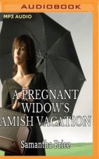 A Pregnant Widow's Amish Vacation