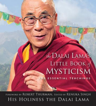 Dalai Lama's Little Book of Mysticism: The Essential Teachings
