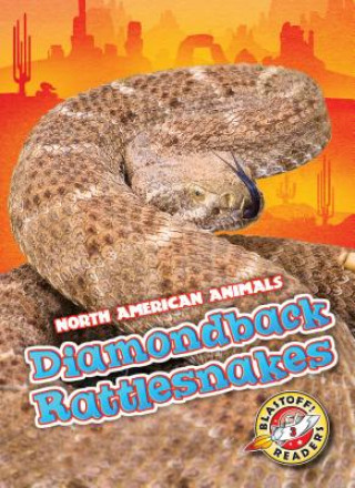 Diamondback Rattlesnakes