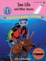 SEA LIFE & OTHER STORIES