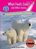 WHAT FEELS COLD & OTHER STORIE