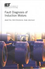 Fault Diagnosis of Induction Motors
