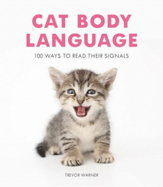 Cat Body Language