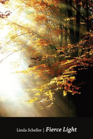 FIERCE LIGHT