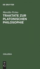 Traktate Zur Platonischen Philsophie