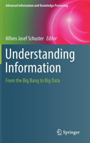 Understanding Information