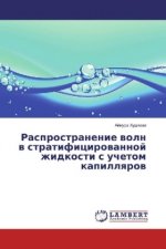 Rasprostranenie voln v stratificirovannoj zhidkosti s uchetom kapillyarov