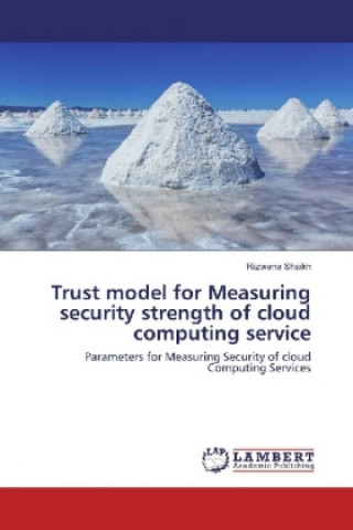 Trust model for Measuring security strength of cloud computing service
