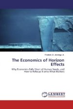 The Economics of Horizon Effects
