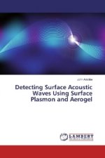 Detecting Surface Acoustic Waves Using Surface Plasmon and Aerogel