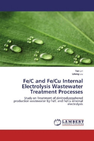 Fe/C and Fe/Cu Internal Electrolysis Wastewater Treatment Processes
