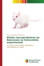 Efeitos neuroprotetores do Edaravone na hidrocefalia experimental