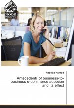 Antecedents of business-to-business e-commerce adoption and its effect