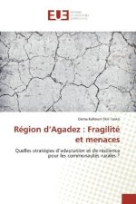 Région d'Agadez : Fragilité et menaces