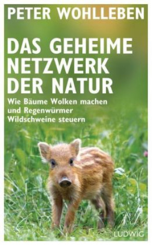 Das geheime Netzwerk der Natur