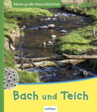 Meine große Naturbibliothek: Bach und Teich