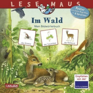 LESEMAUS 201: Im Wald