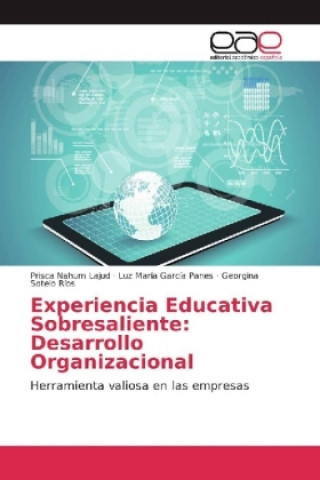 Experiencia Educativa Sobresaliente: Desarrollo Organizacional