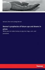 Benner's prophecies of future ups and downs in prices