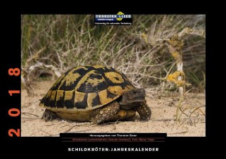 Schildkröten-Jahreskalender 2018