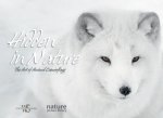 Hidden in Nature: Art of  Animal Camouflage