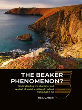 Beaker Phenomenon?