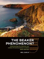 Beaker Phenomenon?